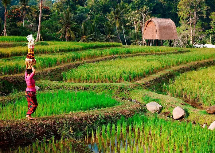 منتجع Mandapa, A Ritz-carlton Reserve أوبود